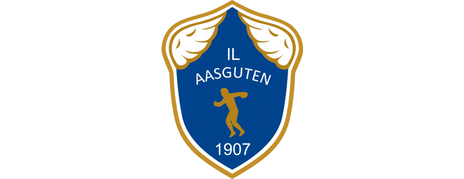 Årsmøte 2024